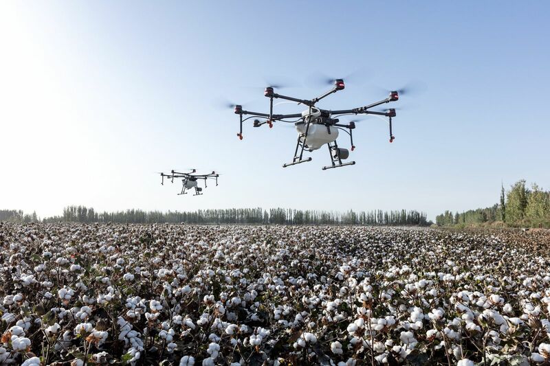 Cotton Field with Drones